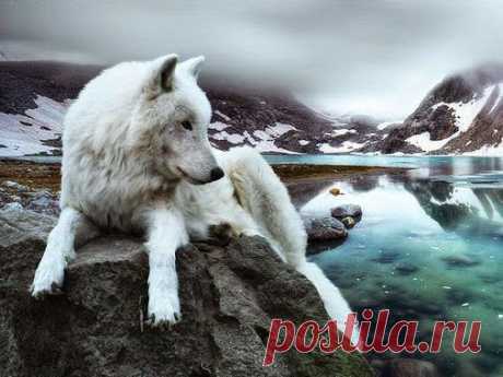 Google+