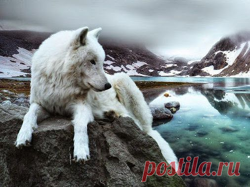 Google+