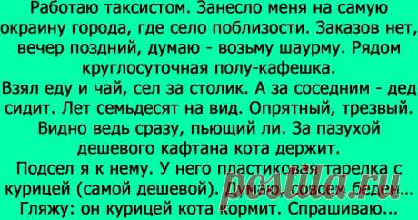 Случай на окраине города: кот и дед Надеюсь, с деда будут брать пример те, кто прочитал эту историю..