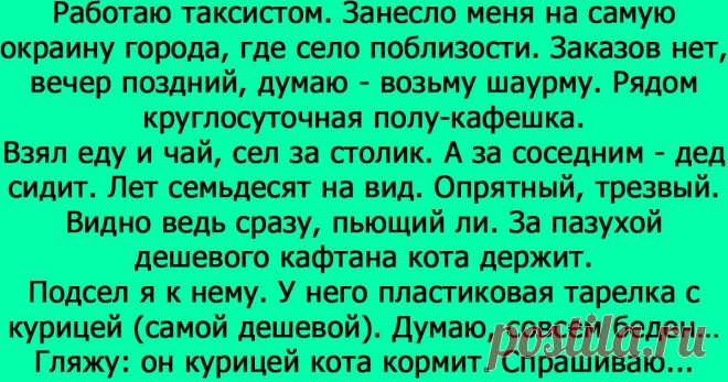 Случай на окраине города: кот и дед Надеюсь, с деда будут брать пример те, кто прочитал эту историю..