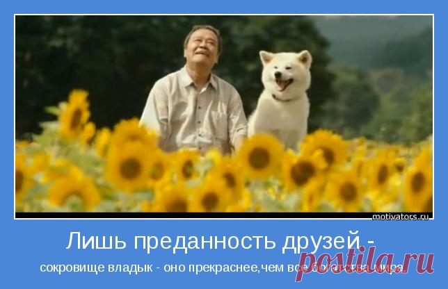 Преданность-вот качество которое вам следует искать в людях, присоединяющихся к вашей команде! Само по себе оно не гарантирует успеха другому человеку, однако есть вероятность того,Что недостаток этого качества,будет способствовать разрушения взимотношений с людьми.Когда вы ищете потенциальных лидеров и у человека, кандидатуру которого вы рассматриваете, не хватает такого качества, как преданность, то его следует признать непригодным. Джон Максвелл Золотые уроки лидерства http://busnesvmeste.ru/