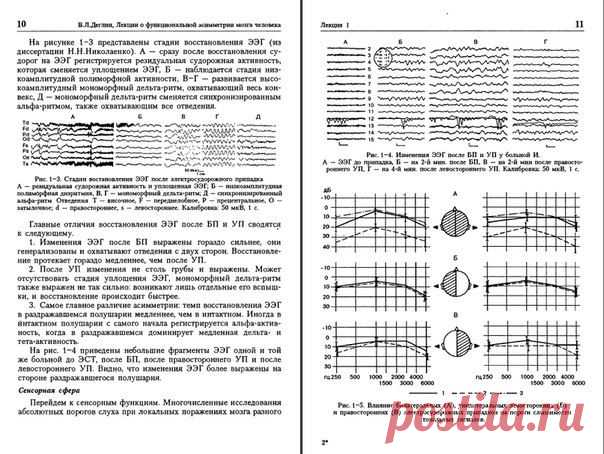 «Лекции о функциональной асимметрии мозга человека»