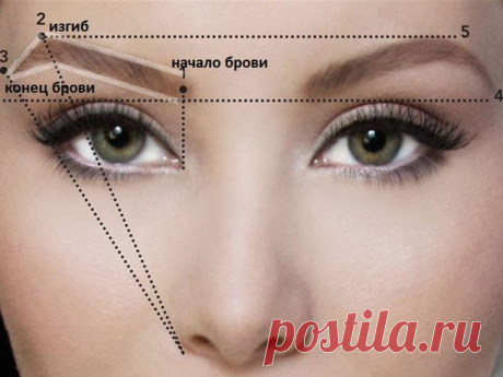 Как отрастить брови – советы от специалиста brow-бара - Estportal