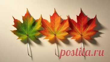 Тест - «Нет одиночества страшнее, чем одиночество в толпе». Выбери лист и узнай, грозит ли тебе одиночество?Третий кленовый лист