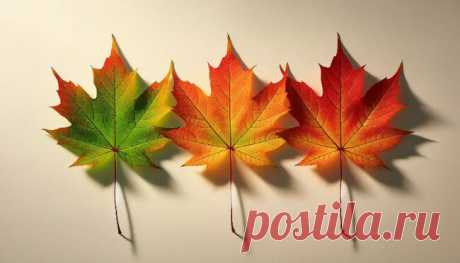 Тест - «Нет одиночества страшнее, чем одиночество в толпе». Выбери лист и узнай, грозит ли тебе одиночество?Третий кленовый лист