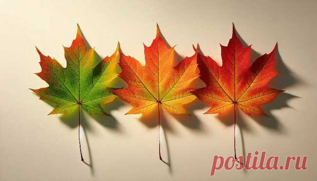 Тест - «Нет одиночества страшнее, чем одиночество в толпе». Выбери лист и узнай, грозит ли тебе одиночество?Третий кленовый лист