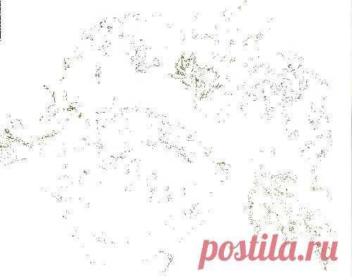 Рецепты праздничных салатов со свеклой: приготовление и красивое оформление / Простые рецепты