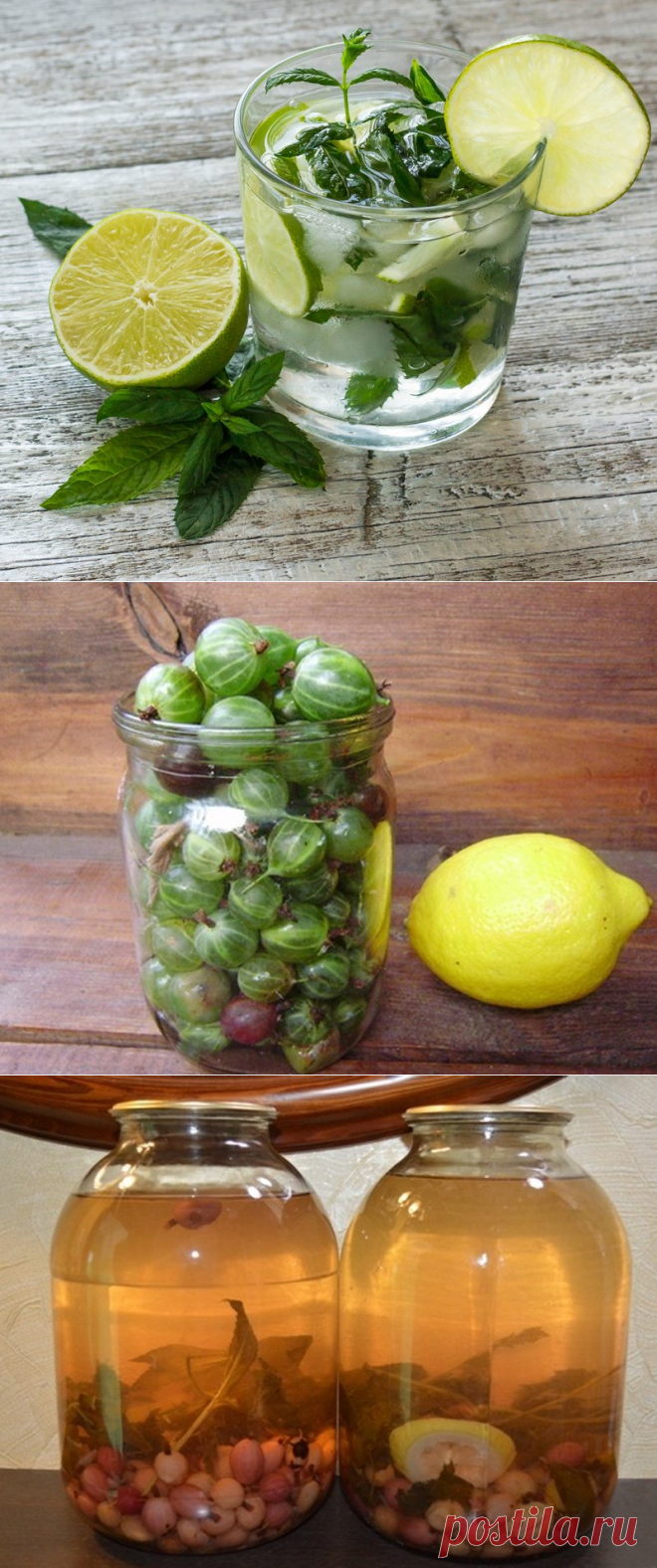 Домашний «Мохито» из крыжовника: из зеленого чистый как слеза, из красного — рубиновый цвет - Интересный блог