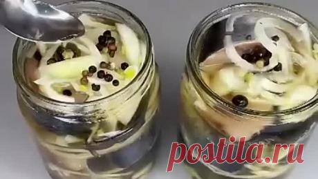 Домашняя сeледка