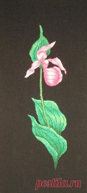 Яндекс.Фотки