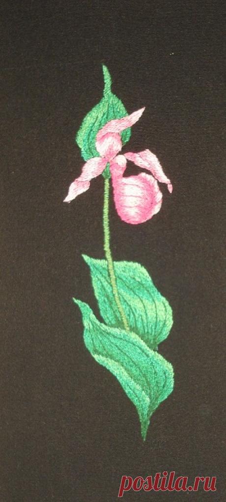 Яндекс.Фотки