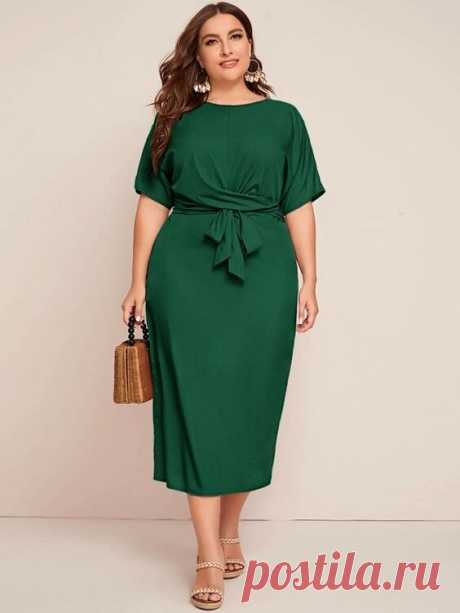 scale_1200 (564×751)