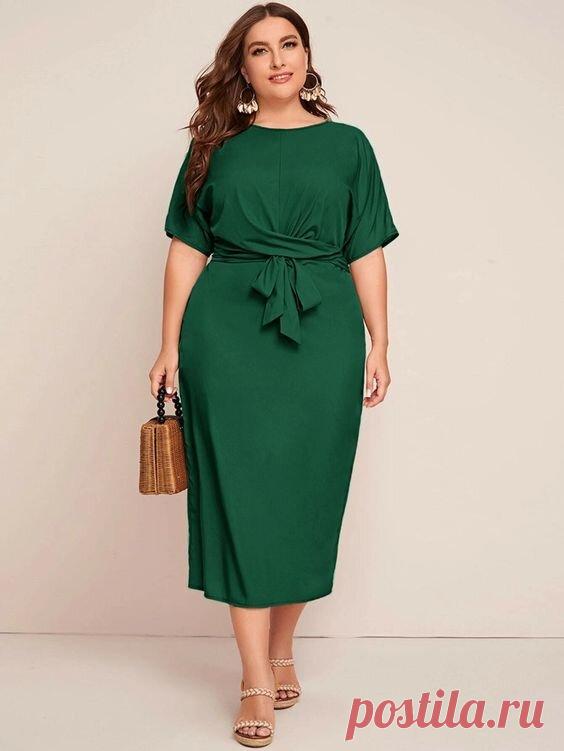 scale_1200 (564×751)