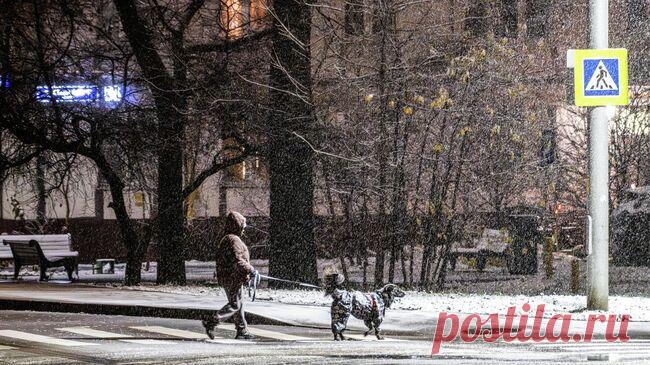 Декабрьский снег пошел в Москве