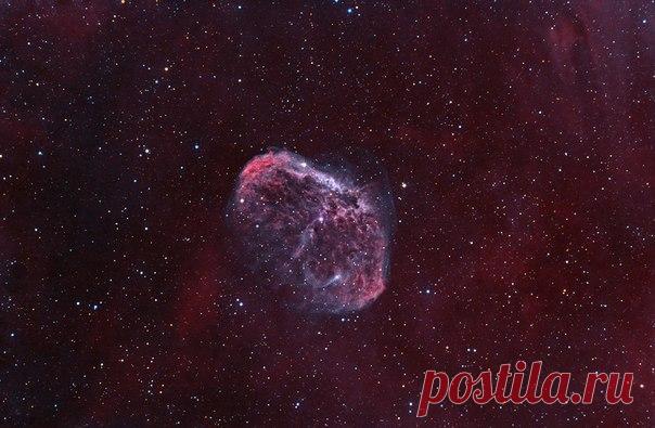 На этом изображении мы видим туманность "Полумесяц" или NGC 6888. Туманность "Полумесяц" является остатком сверхновой звезды. Оборудование: 75-мм рефрактор и камера Canon 350Da. Фото: Игорь Чекалин / Физика невозможного!