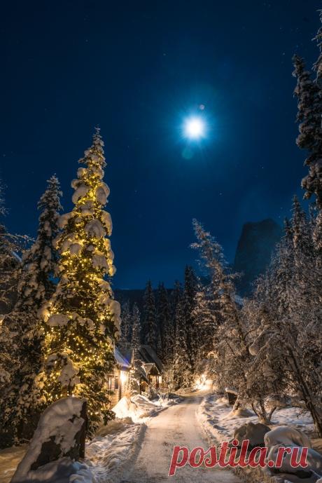 emcritchiephotography:
“Winter wonderland!
”