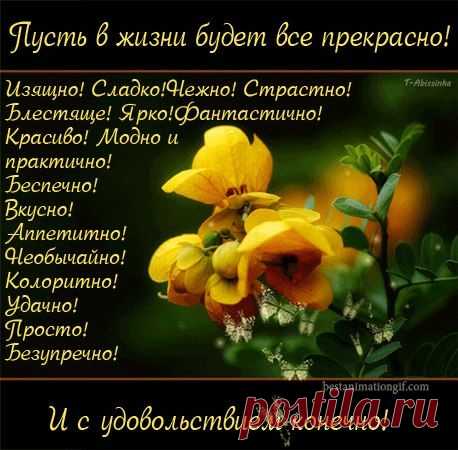 ╭დ╯СВЕТ ДУШИ╭დ╯