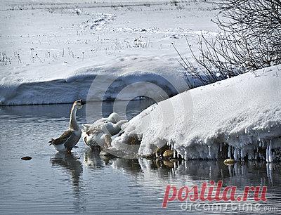 Stock Photos, Royalty-Free Images & Video Footage By Dreamstime Stock Photography