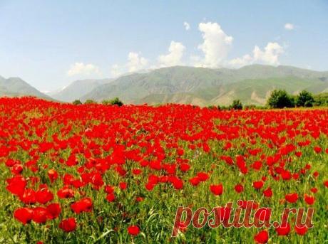 Мой Мир@Mail.Ru