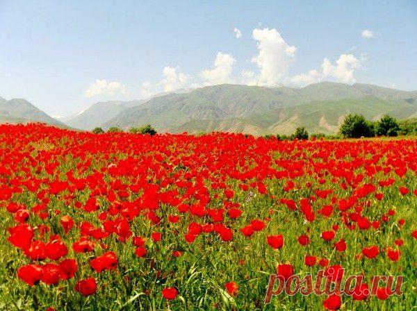 Мой Мир@Mail.Ru