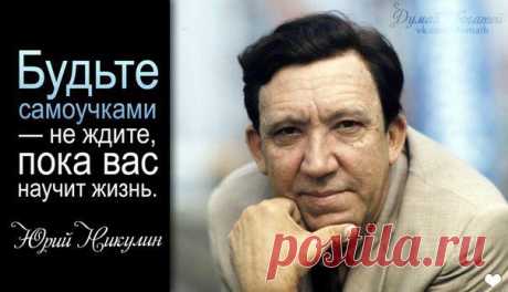 правда жизни