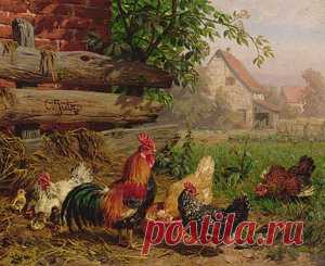 Rooster Art for Sale
