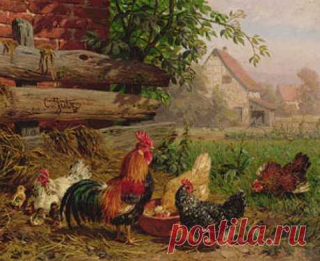 Rooster Art for Sale