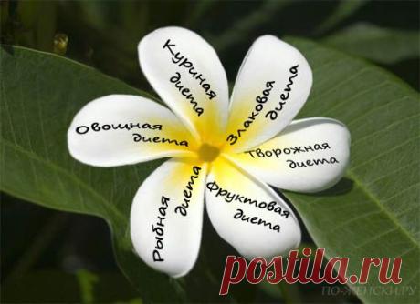 ДИЕТА *6 ЛЕПЕСТКОВ*