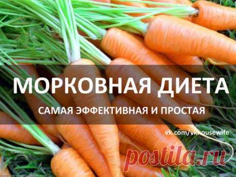 Морковная диета вес... - Блог Марина на 24open.ru