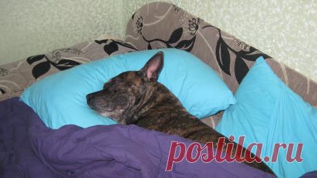 ЛАРА! Тушите свет, спать пора!)))