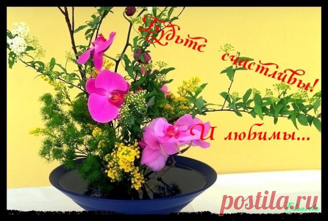 моим Друзьям