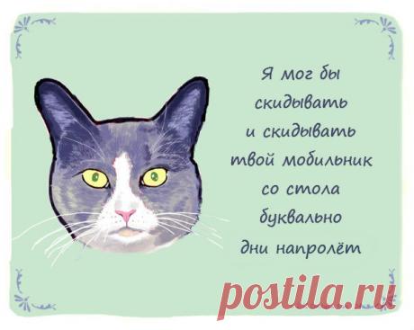 Что на самом деле думают ваши домашние любимцы | Краше Всех