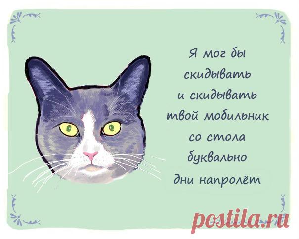 Что на самом деле думают ваши домашние любимцы | Краше Всех