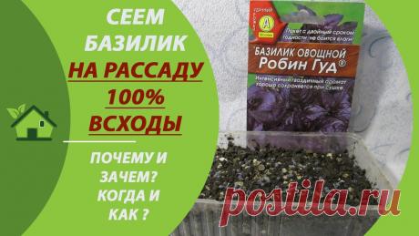 Базилик - сеем семена на рассаду / Как и когда сеять/ Условия выращивания в домашних условиях Рассказываю, как и когда сеять базилик на рассаду, условия выращивания в домашних условиях. ПОЛЕЗНЫЕ ССЫЛКИ НИЖЕ 👇↘✅ Болгарский перец от семян до всходов за...