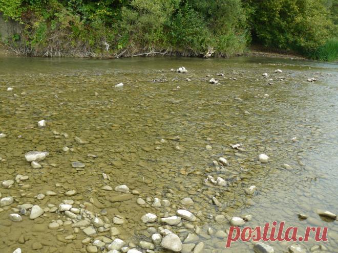 Вербиж  р. Пистынька