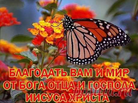 Церковь Владимирской иконы Божией Матери с.Бурла