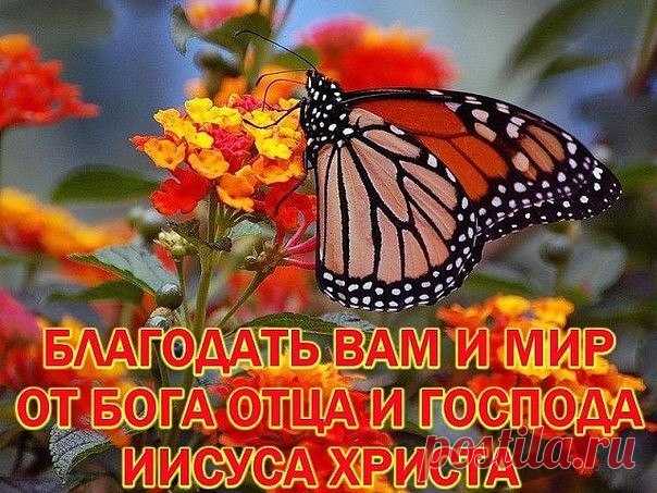 Церковь Владимирской иконы Божией Матери с.Бурла