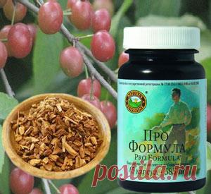 Что такое пиджеум и его полезные свойства в БАД НСП