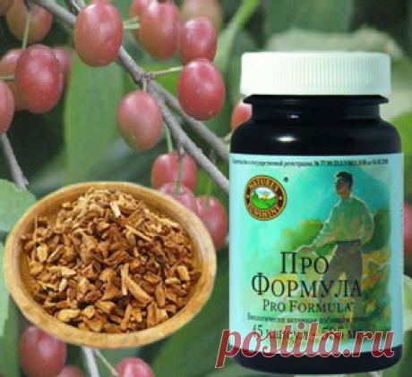 Что такое пиджеум и его полезные свойства в БАД НСП