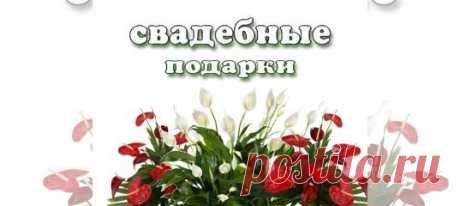 Подарок на свадьбу. Челябинск купить в Челябинске | Товары для дома и дачи | Авито Подарок на свадьбу. Челябинск: объявление о продаже в Челябинске на Авито. Традиционно на свадьбу дарят Антуриум (мужское счастье) и Спатифиллум ( Женское счастье). В паре они приносят в семейную жизнь счастье и гармонию. Свадебное дерево мирт или фикус. Бонсай Олицетворяет благополучие в семейной жизни. Цитрусовые деревья ( лимон и мандарин) подаренные на свадьбу гарантируют много много дет...