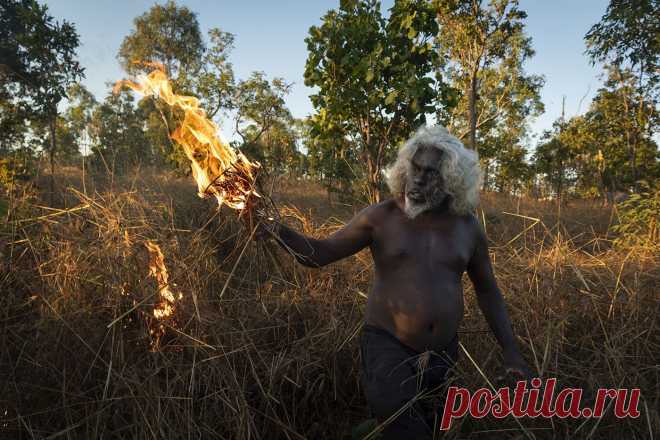 Победители World Press Photo 2022: лучшие фотографии