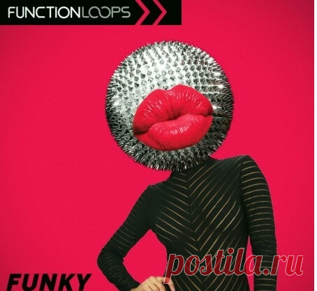Function Loops Funky Disco [WAV, MiDi] free download mp3 music 320kbps
