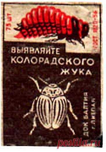 Обратно в СССР. Вспоминая наше советское прошлое