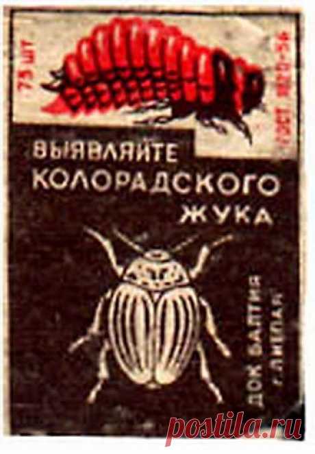 Обратно в СССР. Вспоминая наше советское прошлое