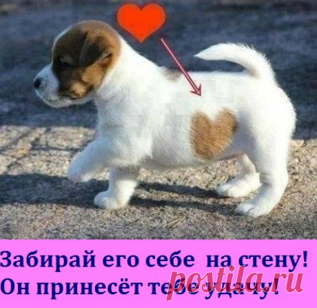 Интересные новости