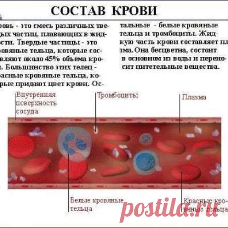 Учитель биологии!