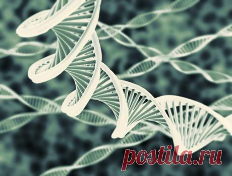 Преждевременное старение - от “беспорядка“ в ДНК