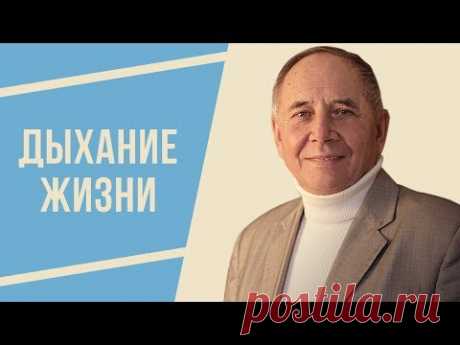 Дыхание Жизни. Обучающее видео. Лосев Станислав