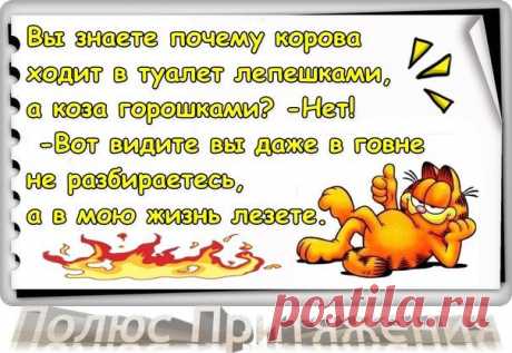 (●̮̮̃●̃) Лучшие Бабушки~|̳̿В̳̿|Контакте~⊰♥⊱~ | ВКонтакте