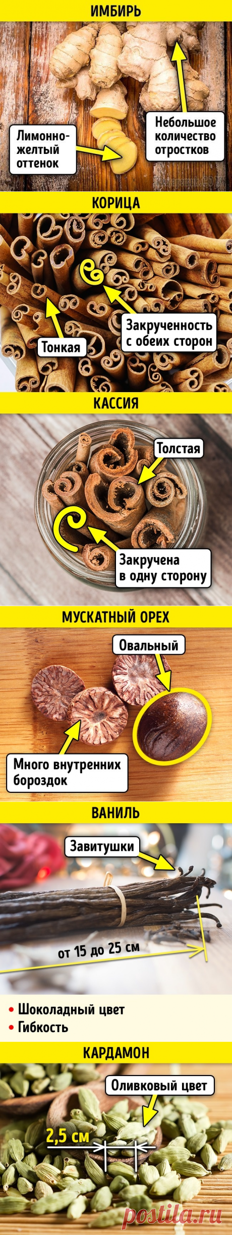 Как отличить натуральные специи и пряности от подделки